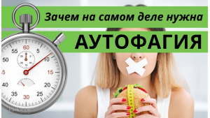 Зачем на самом деле нужна аутофагия?
