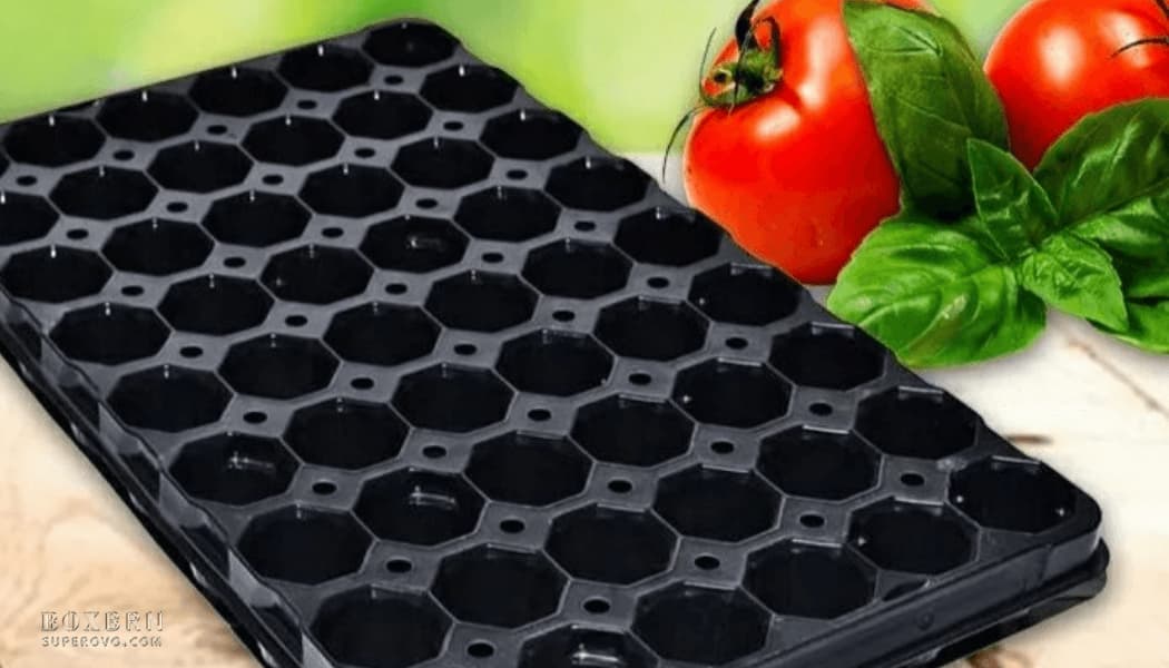 Кассета для рассады